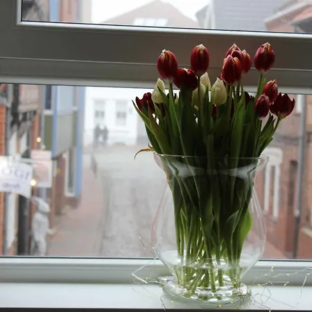 Buxtepartment * Neuland